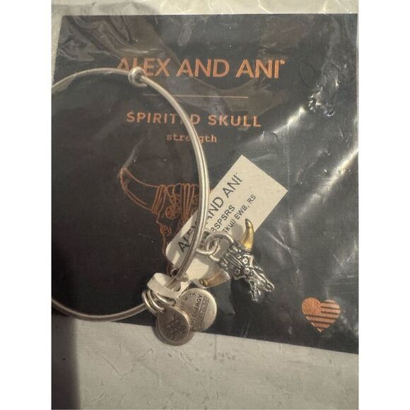Alex and Ani Spitited Skull bracelet Rafaelian silver new with tags - Picture 2 of 3